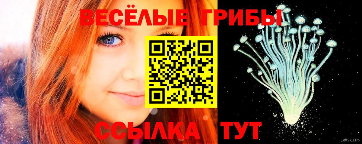 Галлюциногенные грибы GOLDEN TEACHER Юрга
